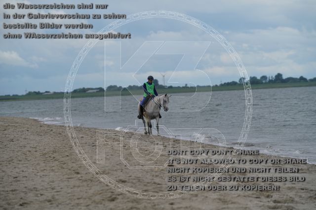 s_K3F04923.JPG
